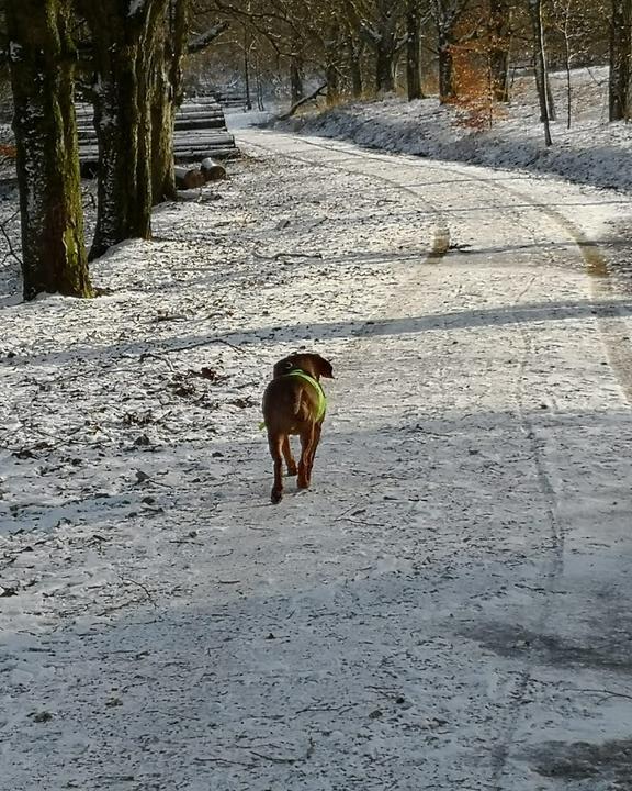 Waldgaststätte Hohes Gras